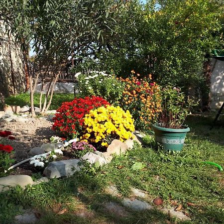 Old House Apartment With Garden Area Mtsʼkhetʼa Esterno foto