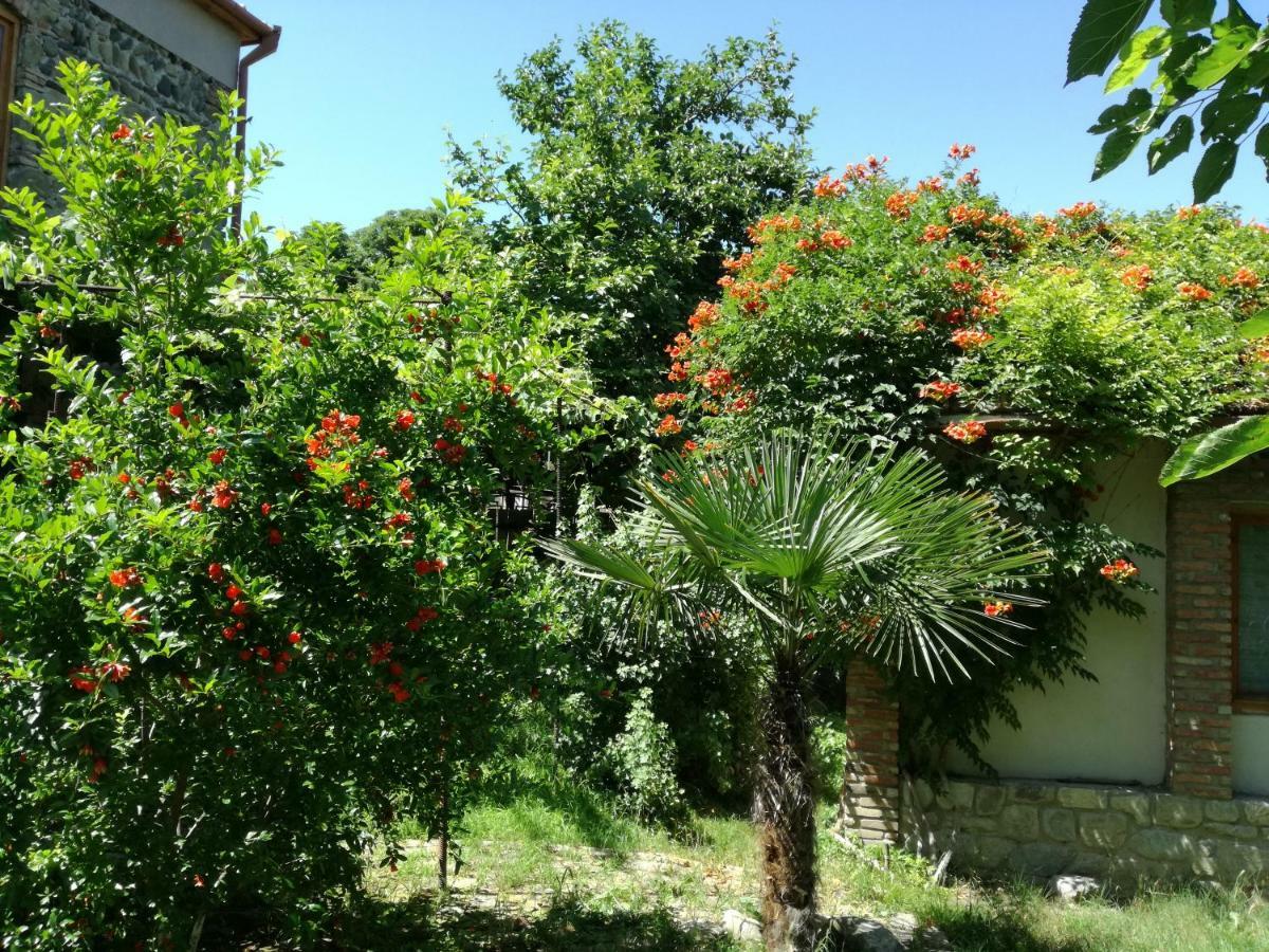 Old House Apartment With Garden Area Mtsʼkhetʼa Esterno foto